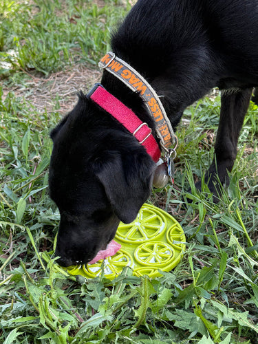 SodaPup Citrus Design eMat Enrichment Lick Mat With Suction Cups