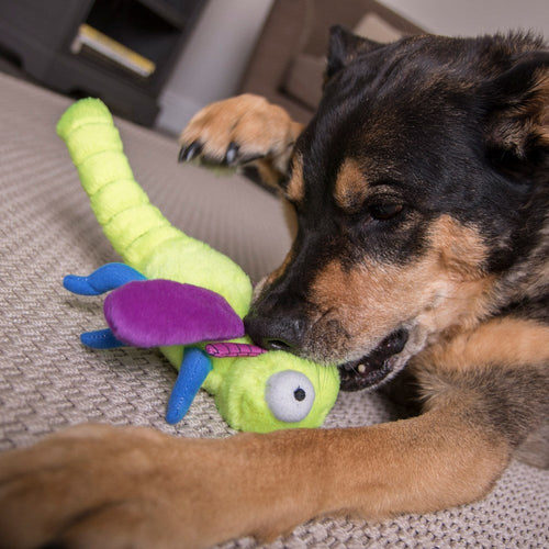 GoDog Dragonfly Chew Guard Squeaky Plush Dog Toy