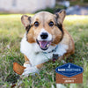 Barkworthies Chicken Jerky Dog Treats