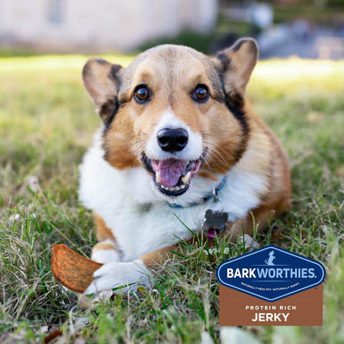Barkworthies Chicken Jerky Dog Treats
