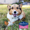Barkworthies Chicken with Pumpkin, Sweet Potato & Carrot Superfood Jerky Dog Treats