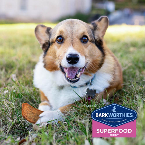 Barkworthies Chicken with Pumpkin, Sweet Potato & Carrot Superfood Jerky Dog Treats