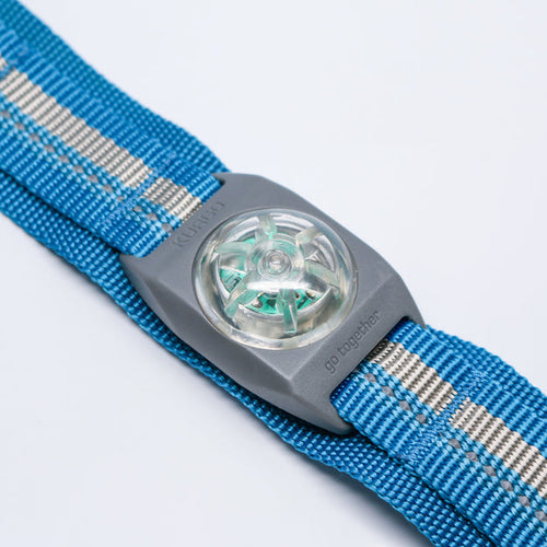 Kurgo RSG Molle Light