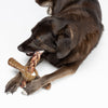 Benebone Chicken Pawplexer