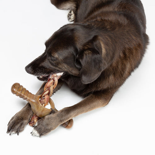 Benebone Chicken Pawplexer