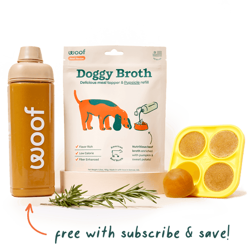 Woof Pupsicle Doggy Beef Broth