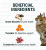 Koha Minimal Ingredient Turkey Stew for Cats