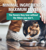 Koha Minimal Ingredient Turkey Stew for Cats