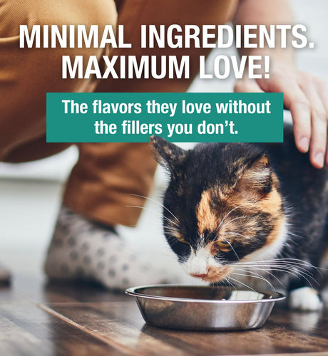 Koha Minimal Ingredient Turkey Stew for Cats
