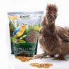 Exotic Nutrition Dried Mealworms