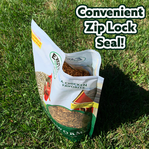 Exotic Nutrition Dried Mealworms