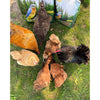 Exotic Nutrition Dried Mealworms