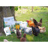 Exotic Nutrition Dried Mealworms
