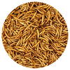 Exotic Nutrition Dried Mealworms