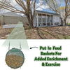Exotic Nutrition Dried Mealworms