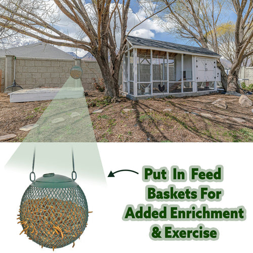 Exotic Nutrition Dried Mealworms