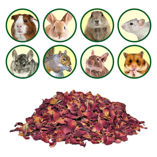 Exotic Nutrition's Rose Petals & Buds Treat