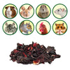 Exotic Nutrition Hibiscus Flower Treat