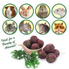 Exotic Nutrition Munchers Rose Petals & Timothy Chew Balls