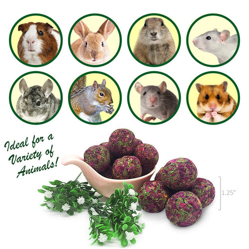 Exotic Nutrition Munchers Rose Petals & Timothy Chew Balls
