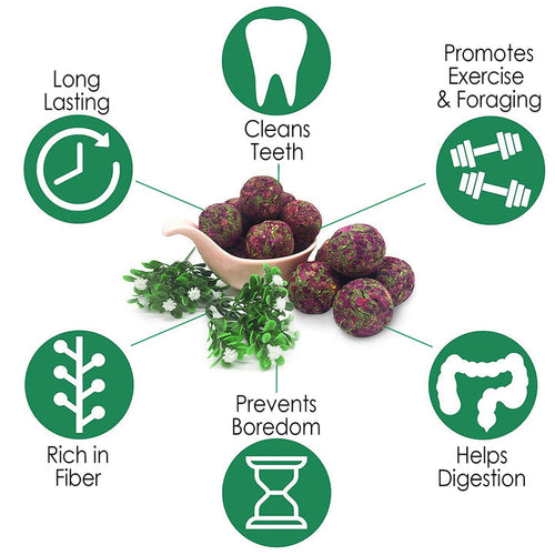 Exotic Nutrition Munchers Rose Petals & Timothy Chew Balls
