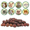 Exotic Nutrition's Critter Selects Dried Rose Hips Treats for Small Animals