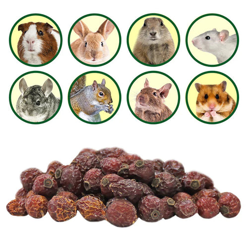 Exotic Nutrition's Critter Selects Dried Rose Hips Treats for Small Animals