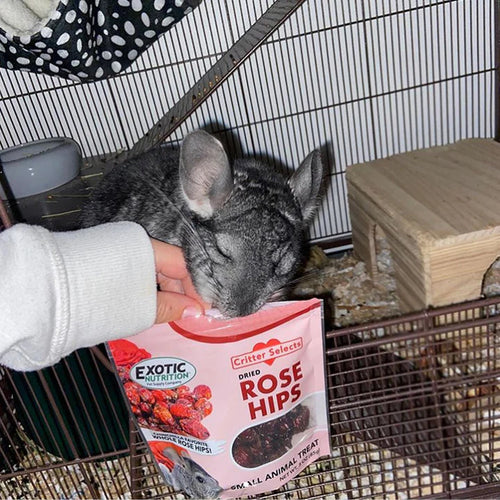 Exotic Nutrition's Critter Selects Dried Rose Hips Treats for Small Animals