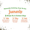 Doggijuana Get the Pawty Started Refillable Barkling Whine Dog Toy