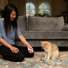 CAITEC Hero Nala Fitkitty Laser Pointer Cat Toy