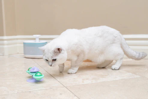 Hero Nala™ Whirly Bird Spinner Cat Toy