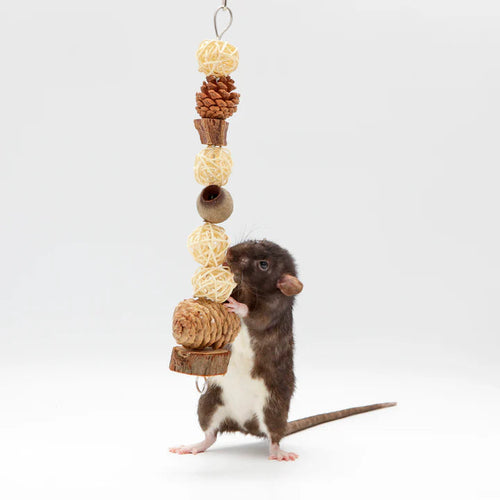 Exotic Nutrition Treetop Tower Small Animal Toys