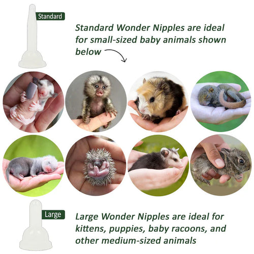 Exotic Nutrition Wonder Nipple & Syringe Set