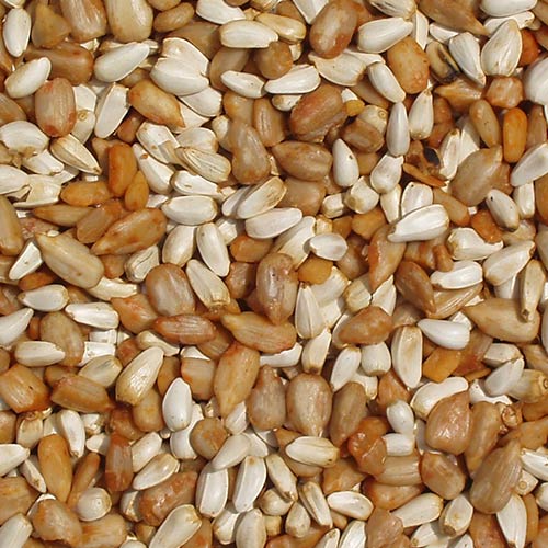 Cole's Wild Bird Products Cajun Cardinal Blend Bird Food