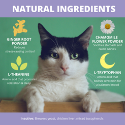 Under the Weather Calming Powder For Cats