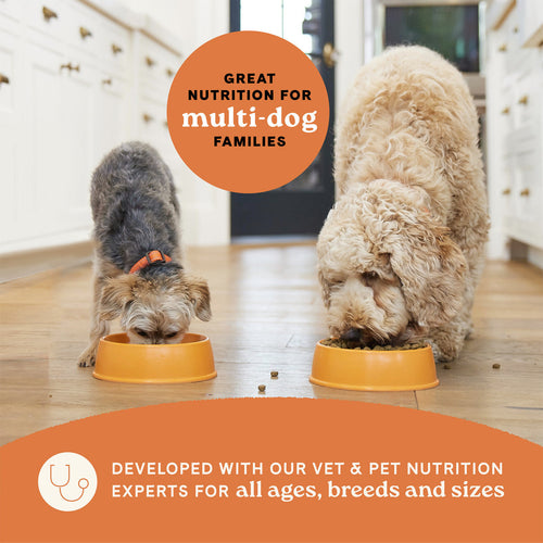 Canidae All Life Stages Dry Dog Food Real Lamb & Ancient Grains Recipe