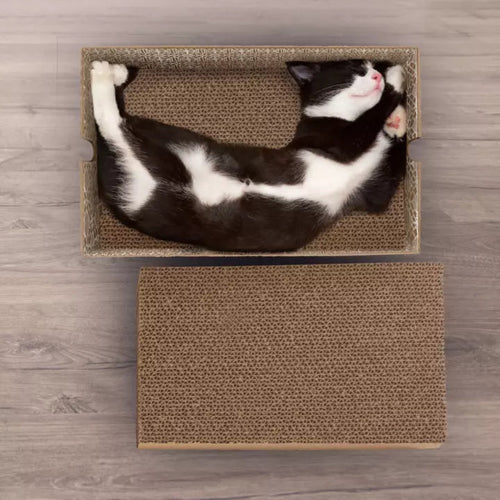 Petlinks Scratcher's Choice+ Bed Box & Refills Reversible Corrugate Cat Scratch Blocks & Cat Bed with Catnip Infusion Technology, 2 count Scratch Blocks