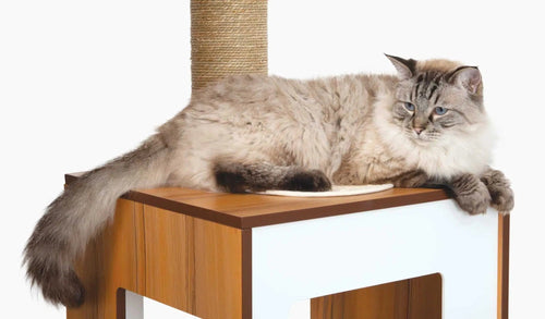 Catit Vesper High Base Giant