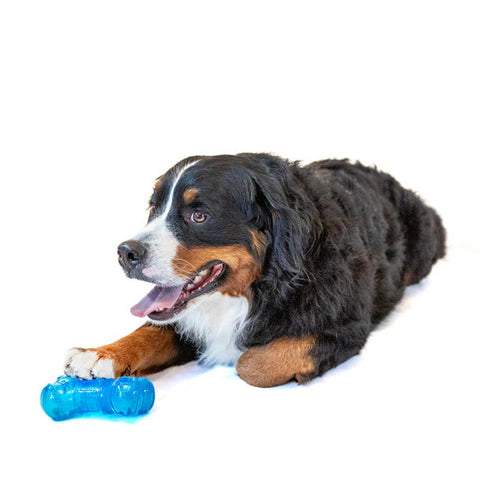 Guru No Begging Bone Dog Toy