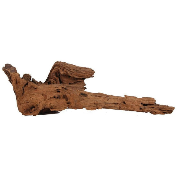 BLUE RIBBON SEA SCULPTURES NATURAL MALAYSIAN DRIFTWOOD