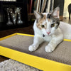 Coastal Pet Turbo by Coastal Rectangle Cat Scratcher