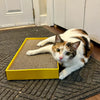 Coastal Pet Turbo by Coastal Rectangle Cat Scratcher