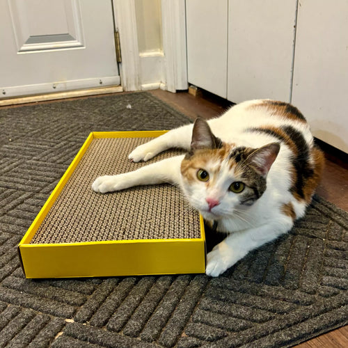 Coastal Pet Turbo by Coastal Rectangle Cat Scratcher