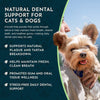 Animal Essentials Sea-Dent Anti-Plaque Powder | Plaque Dissolving Plant Enzymes
