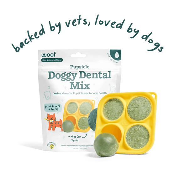 Woof Doggy Dental Pupsicle Mix