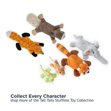 Tall Tails Stuffless Lizard Squeaker Dog Toy