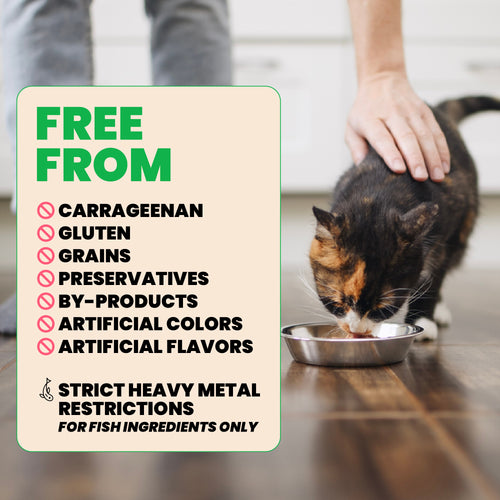 Almo Nature Natural HQS Chicken with Pumpkin in broth