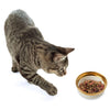 Ethical Pet Spot Malibu Dish Cat Gold 5