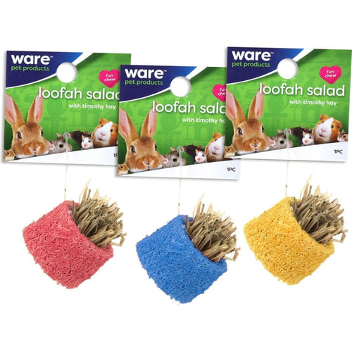 CRITTER WARE LOOFAH SALAD