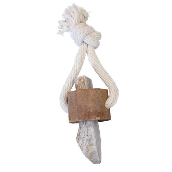 KONG Wild Antler Chew Treat toy